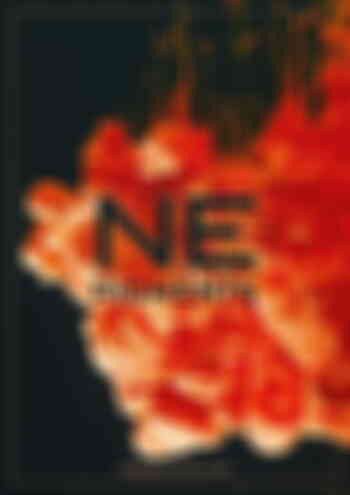 Плакат NE pigments Оранжевый #NEP03